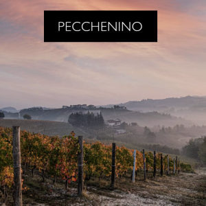 Pecchenino Italian Wine Dinner